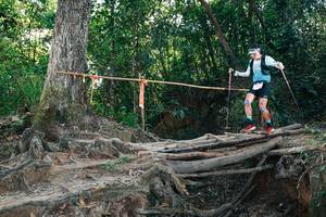 BIB: 
                            <button type="button" onclick="openModal(27753516)" class="btn btn-primary btn-sm float-right btn-popup" data-toggle="modal" data-target=".modal-high-quality">
                        <i class="fas fa-shopping-cart"></i> Add to Cart
                    </button>
                                            <button type="button" onclick="isThisMe(27753516, true)" class="btn btn-success btn-sm float-right btn-popup btn-isme hidden" data-toggle="tooltip" data-placement="bottom" title="นี่คือรูปของคุณใช่ไหม คลิกที่นี่เพื่อเอาเข้าอัลบั้ม">
                        <i class="fas fa-plus"></i> Add to album
                    </button>
                    <button type="button" onclick="isThisMe(27753516, false)" class="btn btn-warning btn-sm float-right btn-popup btn-isnotme hidden">
                        <i class="fas fa-ban"></i> Remove from album
                    </button>